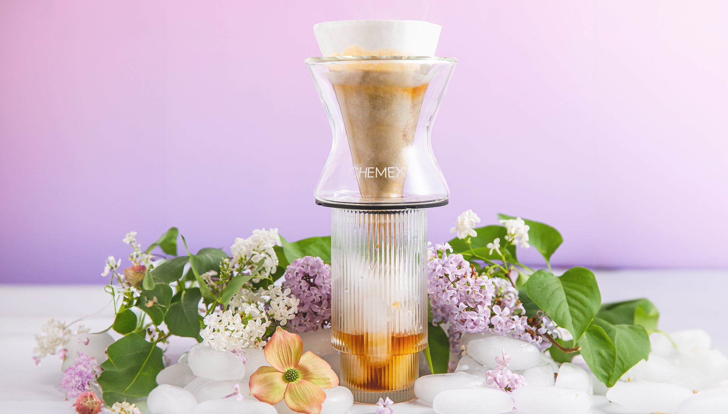 the funnex coffeemaker brewing iced coffee on a bright purplish background surrounded by flowers