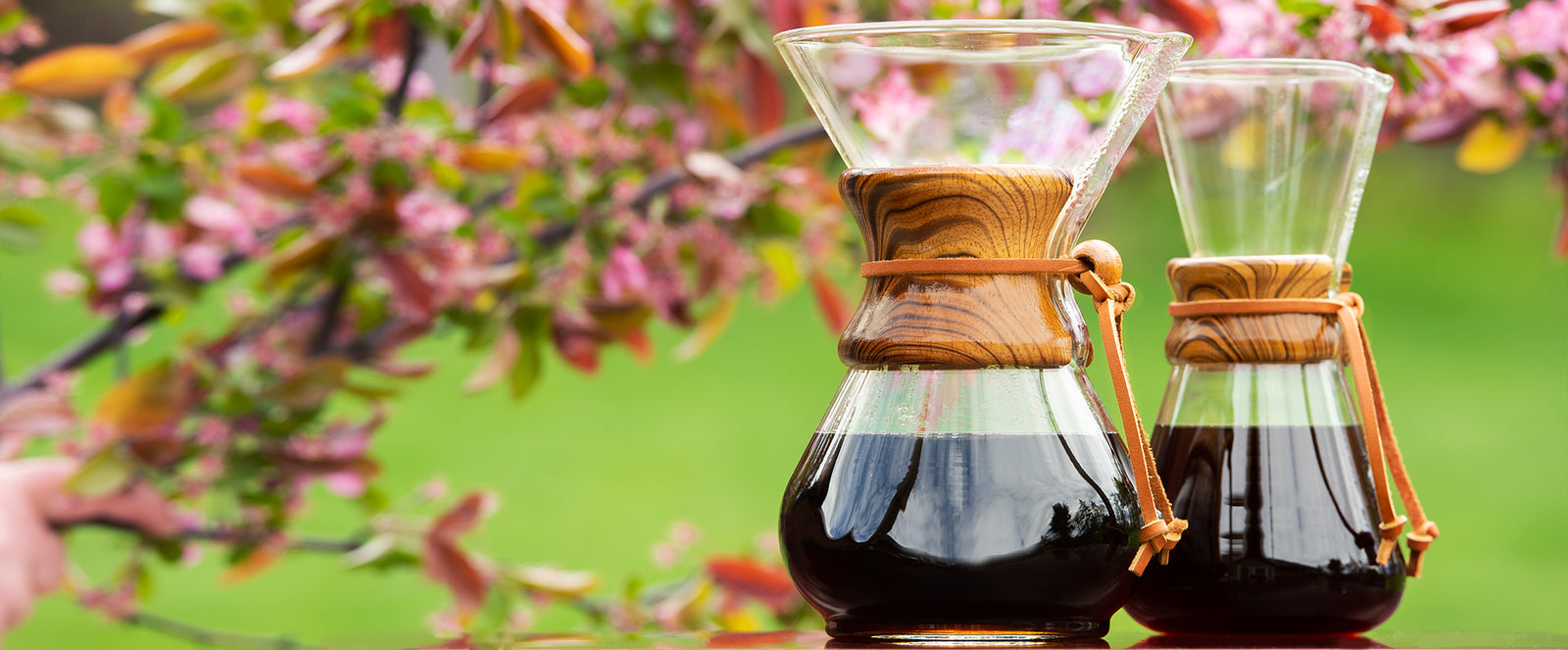 large and small tiger collars on coffeemakers outdoors in front of a pink flowering tree.