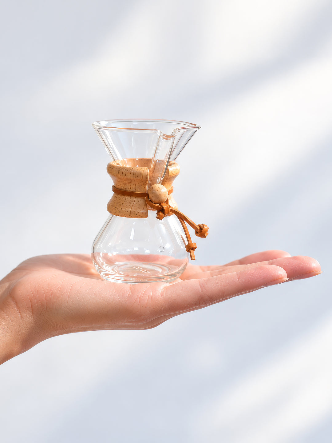 The CHEMEX Ornament