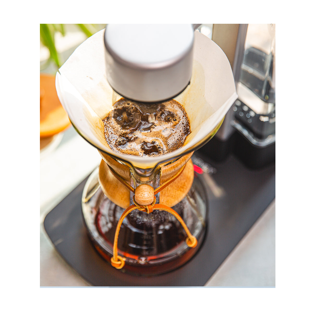 coffee being brewed with an ottomatic coffeemaker.